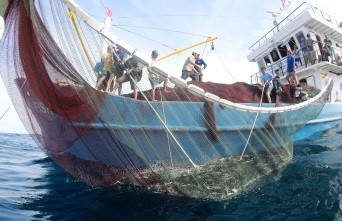 “Đổi mới” là Chính thể và người Dân cùng xác định Mục tiêu mới, Giải pháp mới